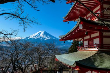 View on Chureito Pagoda and mountain of the mountains Mt Fuji, Japan captured on a clear, sunny day in winter. Top of the volcano covered with snow. Trees aren't blossoming yet. Postcard from Japan.