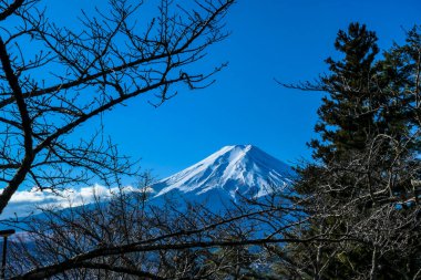 A distant view on Mt Fuji in Japan through the pine trees' branches, captured on a clear, wintery day. The top parts of the volcano are covered with a layer of snow. Holly mountain. Mystery and beauty
