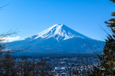 A distant view on Mt Fuji in Japan through the pine trees' branches, captured on a clear, wintery day. The top parts of the volcano are covered with a layer of snow. Holly mountain. Mystery and beauty