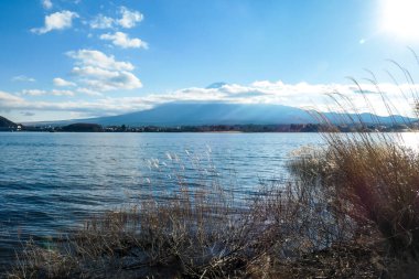 An idyllic view on Mt Fuji from the side of Kawaguchiko Lake, Japan. The volcano is surrounded by clouds. Dried, golden grass on the shore of the lake. Serenity and calmness. Bright and clear day.