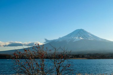 An idyllic view on Mt Fuji from the side of Kawaguchiko Lake, Japan, disturbed by tree branches. The mountain is surrounded by clouds. The top of the volcano is covered with snow. Calm lake's surface