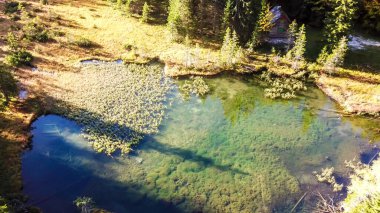 A drone shot of alpine Joser Lake, located between the woods, next to a pathway leading to Buchbergkogel, Austria. Calm and steady surface of the lake. Green colored lake. Small cottage on the side.