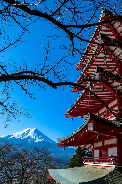 在冬天阳光明媚的日子里 日本富士山上的楚里托塔和高山上的景色尽收眼底 火山顶上被雪覆盖着 树还没有开花呢 来自日本的明信片 — 图库照片