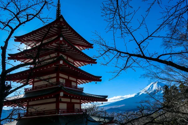 在冬天阳光明媚的日子里 日本富士山上的楚里托塔和高山上的景色尽收眼底 火山顶上被雪覆盖着 树还没有开花呢 来自日本的明信片 — 图库照片