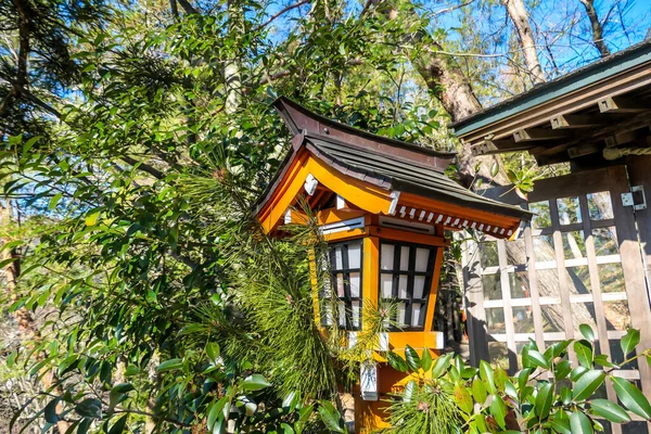 一只橙色的灯笼藏在树枝之间 在去日本竹里托宝塔的路上 橙色灯笼与绿叶形成对比 — 图库照片