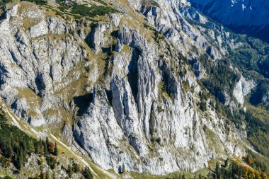 A man with a hiking backpack standing at the mountain ledge in Hochschwab region in Austria. There are many mountain ranges around her. The slopes overgrown with mountain pine, partially barren rocks