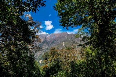 View on Himalayas, Annapurna Circuit Trek, Nepal. The view is disturbed by dense tree crowns in the front. High snow caped mountains peaks catching the first beams of sunlight. Serenity and calmness