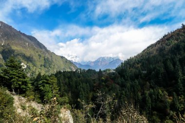 View on Himalayan valley along Annapurna Circuit Trek, Nepal. There is a dense forest in front. High, snow caped mountains' peaks catching the sunbeams. Serenity and calmness. Barren slopes