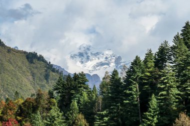 View on Himalayan valley along Annapurna Circuit Trek, Nepal. There is a dense forest in front. High, snow caped mountains' peaks catching the sunbeams. Serenity and calmness. Barren slopes