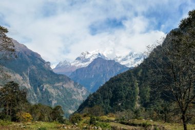 View on Himalayas, Annapurna Circuit Trek, Nepal. The view is disturbed by dense tree crowns in the front. High, snow caped mountains peaks catching the sunbeams. Serenity and calmness. Barren slopes