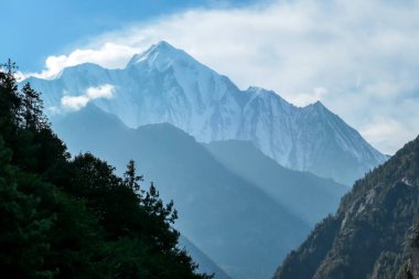 View on Himalayas, Annapurna Circuit Trek, Nepal. The view is disturbed by dense tree crowns in the front. High snow caped mountains peaks catching the first beams of sunlight. Serenity and calmness