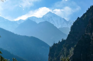 View on Himalayan valley along Annapurna Circuit Trek, Nepal. There is a dense forest in front. High, snow caped mountains' peaks catching the sunbeams. Serenity and calmness. Barren slopes