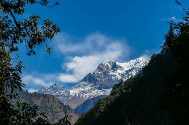 View on Himalayas along Annapurna Circuit Trek, Nepal. There is a dense forest in front. High, snow caped mountains' peaks catching the sunbeams. Serenity and calmness. Barren slopes