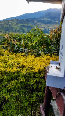 A Himalayan beehive with the view on high mountain chains along Annapurna Circuit Trek, Nepal. Few bees flying around it, bringing more honey back. The area is lush green and blossoming