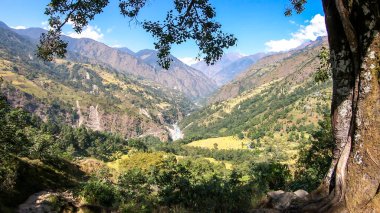 A view on lush green Himalayan valley, seen from Annapurna Circuit Trek, Nepal. There are various trees and bushes growing around. High mountains in the back. A thick tree trunk on the side