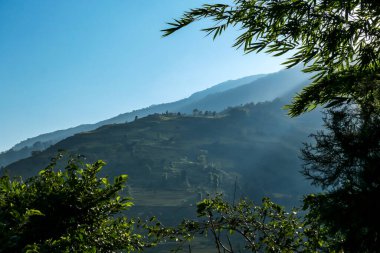 View on Himalayas along Annapurna Circuit Trek, Nepal. There is a dense forest in front. High, snow caped mountains' peaks catching the sunbeams. Serenity and calmness. Barren slopes