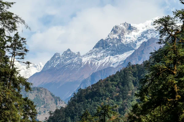 Pohled Himaláje Annapurna Circuit Trek Nepál Pohled Narušen Hustými Korunami — Stock fotografie