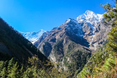 View on Himalayas along Annapurna Circuit Trek, Nepal. There is a dense forest in front. High, snow caped mountains' peaks catching the sunbeams. Serenity and calmness. Barren slopes