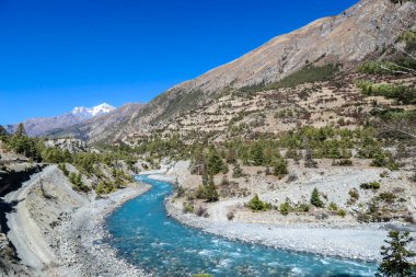 A panoramic view on river in Himalayan valley seen from Annapurna Circuit Trek, Nepal. Turquoise color of the river, big stones popping out of the river. Green forest around. Idyllic landscape.