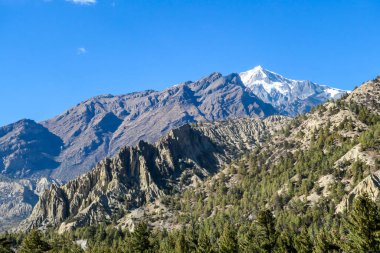A view on Himalayan valley along Annapurna Circuit Trek, Nepal. There is a dense forest in front. High, snow caped mountains' peaks catching the sunbeams. Serenity and calmness. Barren slopes
