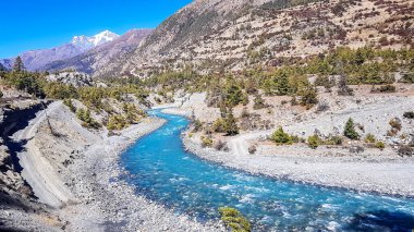 A panoramic view on river in Himalayan valley seen from Annapurna Circuit Trek, Nepal. Turquoise color of the river, big stones popping out of the river. Green forest around. Idyllic landscape.