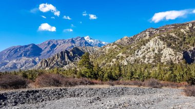 A view on Himalayan valley along Annapurna Circuit Trek, Nepal. There is a dense forest in front. High, snow caped mountains' peaks catching the sunbeams. Serenity and calmness. Barren slopes