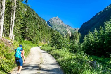 Young woman with a backpack hikes through a pathway in a forest, between tall mountain peaks. Some of the slopes are covered with snow. In the back is another mountain range. Spring in alpine valleys