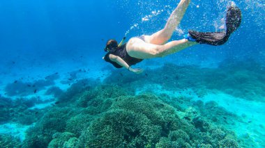 A woman in masker and fins snorkelling in a vivid coral reef in Komodo National Park, Indonesia. She is diving to see the reef from closer. Crystal clear water. Air bubbles around him. Free diving