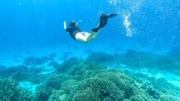 A woman in masker and fins snorkelling in a vivid coral reef in Komodo National Park, Indonesia. She is diving to see the reef from closer. Crystal clear water. Air bubbles around him. Free diving