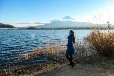 Japonya 'nın Kawaguchiko Gölü kıyısında Fuji Dağı manzaralı altın çimenler arasında yürüyen bir kadın. Kız volkanın manzarasının tadını çıkarıyor. Dağ bulutlarla çevrili. Huzur