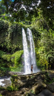 A man in swimsuit standing under two levelled waterfall in Lombok, Indonesia. Tiu Kelep Waterfall is surrounded by lush green plants from each side. Long and powerful waterfall. Beauty of the nature.