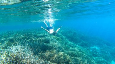 A man in masker and fins snorkelling in a vivid coral reef in Komodo National Park, Indonesia. The man is diving to see the reef from closer. Crystal clear water. Air bubbles around him. Free diving.