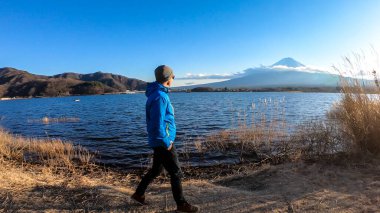 A man walking in between golden grass at the shore of Kawaguchiko Lake Japan with the view on Mt Fuji. He enjoying the view on the volcano. The mountain surrounded by clouds. Adventure and exploration