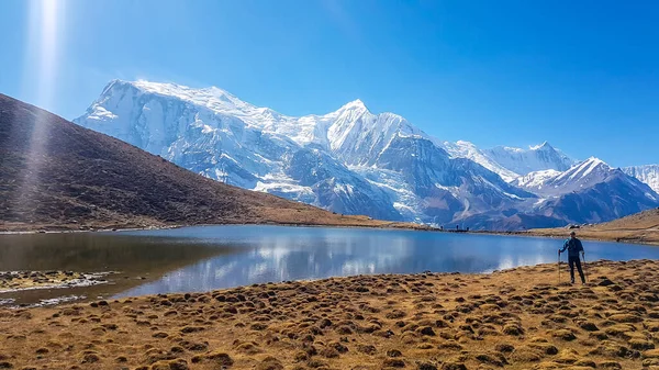 Trekking Young Man at the Ice Lake, the view on Annapurna Chain, Annapurna Circuit Trek, Nepal. Blue and green lake. Man holds Nordic walking stick. Dry grass. Snowy mountains. Beautiful landscape