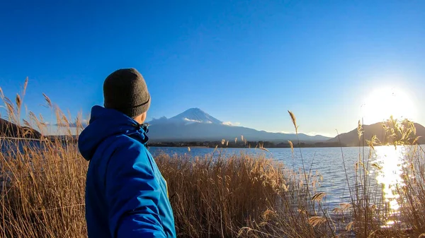 Hombre Caminando Través Hierba Dorada Lado Del Lago Kawaguchiko Japón Fotos de stock libres de derechos