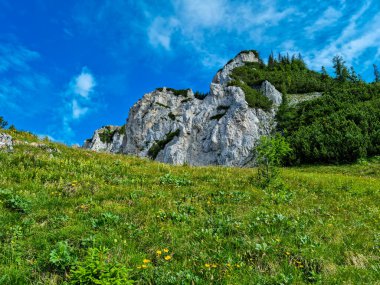 Styria, Avusturya, Hochschwab bölgesindeki Alp Dağları 'nın panoramik manzarası. Yamaçlar kısmen çalılıklarla kaplı, yüksek kısımlar çıplak. Güneşli bir gün. Huzur, gezgin şehvet. Alplerde yürüyüş.