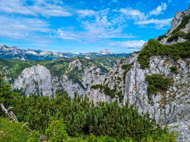 Styria, Avusturya, Hochschwab bölgesindeki Alp Dağları 'nın panoramik manzarası. Yamaçlar kısmen çalılıklarla kaplı, yüksek kısımlar çıplak. Güneşli bir gün. Huzur, gezgin şehvet. Alplerde yürüyüş.