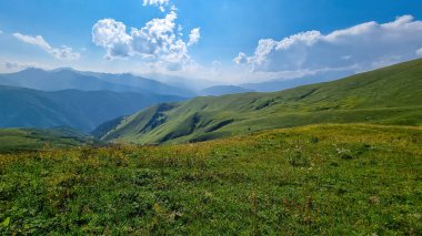 Gürcistan 'daki yüksek Kafkasya dağlarında panoramik bir manzara. Arkada yüksek, karlı tepeler var. Önünde yemyeşil bir çayır var. Idyllic manzara. Sakinlik ve meditasyon. Doğal tedavi.