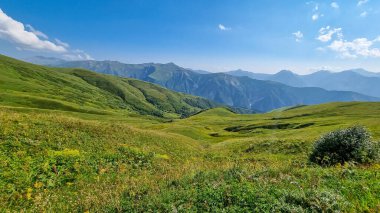 Gürcistan 'daki yüksek Kafkasya dağlarında panoramik bir manzara. Arkada yüksek, karlı tepeler var. Önünde yemyeşil bir çayır var. Idyllic manzara. Sakinlik ve meditasyon. Doğal tedavi.