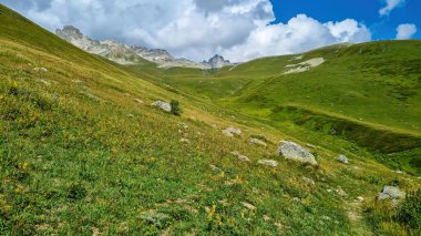 Gürcistan 'daki yüksek Kafkasya dağlarında panoramik bir manzara. Arkada yüksek, karlı tepeler var. Önünde yemyeşil bir çayır var. Idyllic manzara. Sakinlik ve meditasyon. Doğal tedavi.