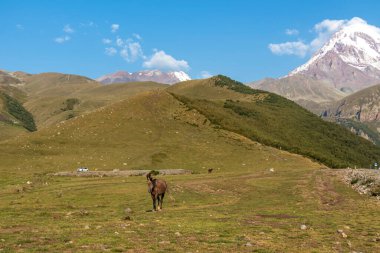 Georgia, Kazbeg Dağı 'nın altındaki yemyeşil bir çayırda otlayan atları duymuştum. Kar kaplı tepenin üstündeki açık ve mavi gökyüzü. Çayırda küçük bir gölet. Vahşi hayvanlar. Dinginlik ve sakinlik.