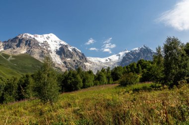 Gürcistan, Svaneti Bölgesi 'ndeki Büyük Kafkasya Dağları' nda çiçek açan Rosebay Willowhere 'in çalıları. Arka tarafta yüksek, karla kaplı tepeler var. Vahşi doğada mor çiçekler. Idyllic manzara..