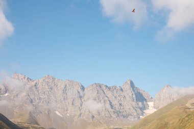 Gürcistan, Kazbegi Bölgesi 'ndeki Büyük Kafkasya dağ sırasındaki Chaukhi Massif' in keskin dağ tepelerinde panoramik manzaralı uçan bir şahin. Özgürlük, Vahşi doğa. Gürcü Dolomitler.