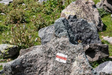 Gürcistan, Kazbegi Bölgesi 'ndeki Büyük Kafkasya Dağları' nda beyaz-kırmızı-beyaz iz. Yeşil tepelerde panoramik bir manzara ve Chaukhi kalabalığının dağ tepelerinin keskin tepeleri. Koşun!