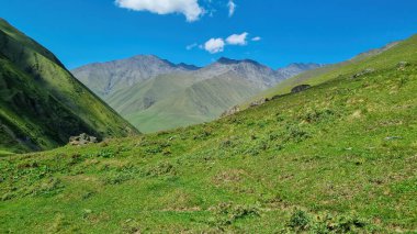 Gürcistan, Kazbegi Bölgesi 'ndeki Büyük Kafkasya Dağları' nda yeşil bir çayır. Çevreleyen dağlar ve tepeler yeşil ve yumuşaktır. Sükunet. İskoçya. Gökyüzünü Temizle.