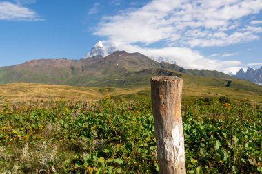 Gürcistan 'ın Yukarı Svaneti bölgesinde Mestia yakınlarındaki Ushba dağlarının panoramik manzarası. Koruldi Gölleri 'ne yürüyüş parkurunda. Ön planda tahta sopa.