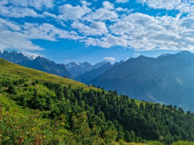 Büyük Kafkasya Dağları 'ndaki Mestia yakınlarındaki Svaneti dağ tepeleri, Yukarı Svaneti, Gürcistan. Koruldi Gölleri' ne yürüyüş yolu. Yoğun orman. Kulübe, kulübe.
