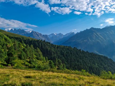 Büyük Kafkasya Dağları 'ndaki Mestia yakınlarındaki Svaneti dağ tepeleri, Yukarı Svaneti, Gürcistan. Koruldi Gölleri' ne yürüyüş yolu. Yoğun orman. Kulübe, kulübe.