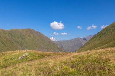 Gürcistan, Kazbegi Bölgesi 'ndeki Büyük Kafkasya Dağları' ndaki Ushba topluluğunun keskin dağlık tepelerinde uzak panoramik bir manzara. Dağ Sırtları, Yürüyüş, Yüksek Çimen. Gürcü Dolomitler.