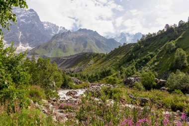 Patara Enguri Nehri, Ushguli 'nin Svaneti Bölgesi, Gürcistan' daki Büyük Kafkasya Dağları 'ndaki Shkhara Buzulu' nu gören bir vadiden aşağı akar. Karla kaplı dağlar, açan çiçekler.
